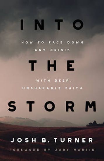 Picture of Into the Storm