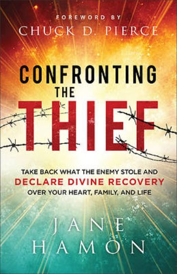Picture of Confronting the Thief