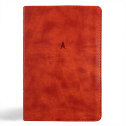 Picture of CSB Church Bible, Anglicised Edition, British Tan Leathertouch