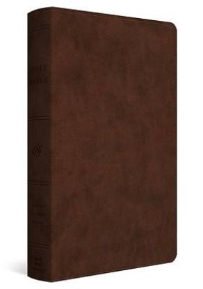 Picture of ESV Holy Bible