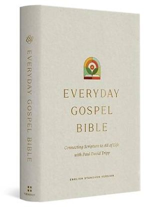 Picture of ESV Everyday Gospel Bible