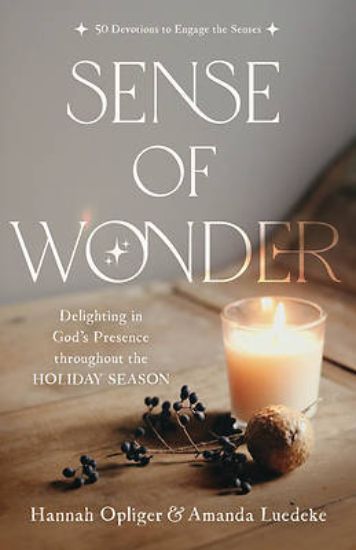 Picture of Sense of Wonder