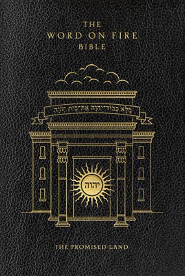 Picture of The Word on Fire Bible