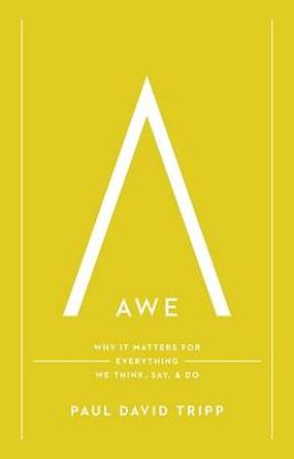 Picture of Awe