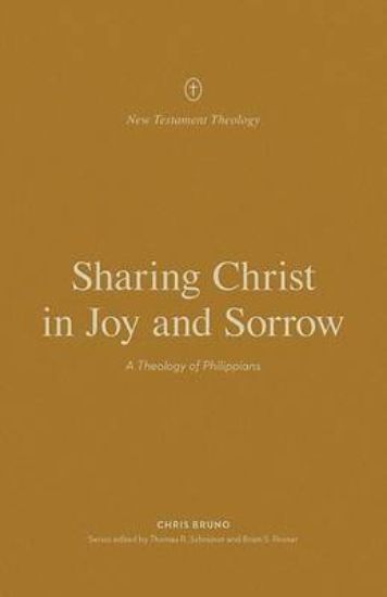 Picture of Sharing Christ in Joy and Sorrow