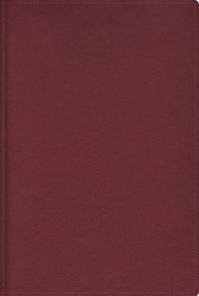 Picture of Rvr, Biblia de Estudio Trasfondo Cultural, Leathersoft, Rojo Vino, Interior a Color, Comfort Print