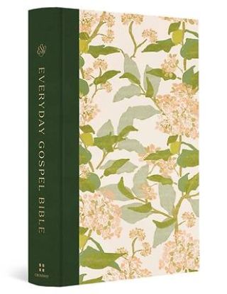 Picture of ESV Everyday Gospel Bible, Artist Series