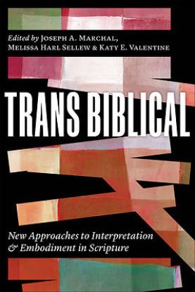 Picture of Trans Biblical