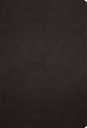 Picture of ESV Large Print Compact Bible, Red Letter (Buffalo Leather, Deep Brown)