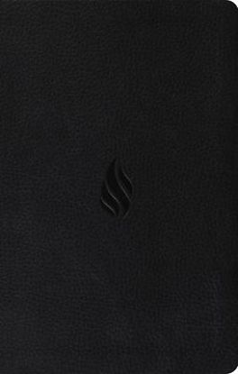 Picture of ESV Premium Gift Bible (Trutone, Midnight, Flame Design)