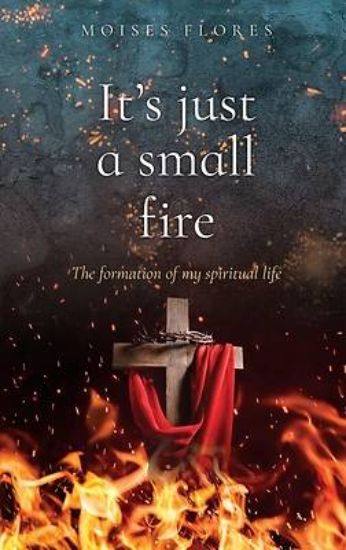 Picture of It's just a small fire