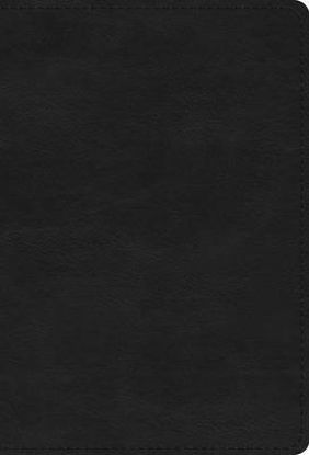 Picture of ESV Large Print Compact Bible, Red Letter (Trutone, Black)