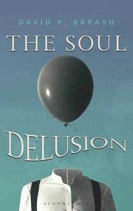 Picture of The Soul Delusion