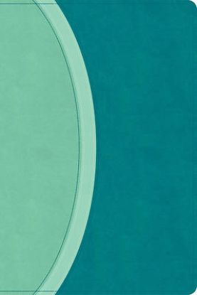 Picture of CSB Rainbow Study Bible, Teal Leathertouch (Limited Edition)