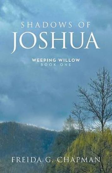Picture of Shadows of Joshua