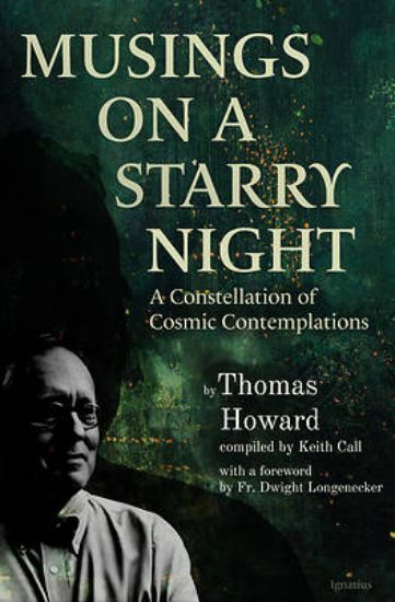Picture of Musings on a Starry Night