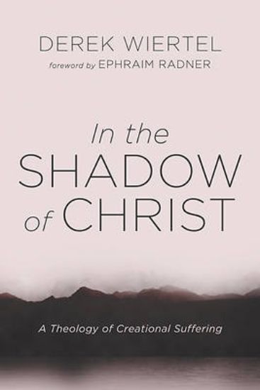 Picture of In the Shadow of Christ
