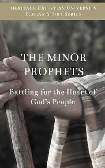 Picture of The Minor Prophets