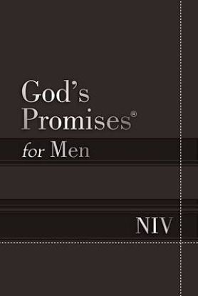 Picture of God's Promises for Men NIV