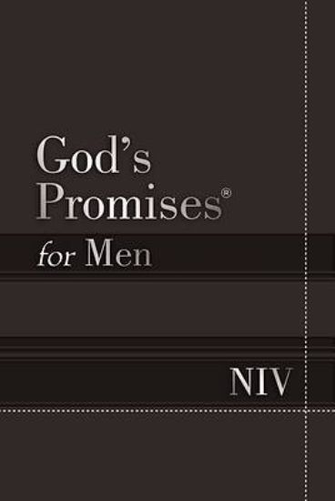 Picture of God's Promises for Men NIV