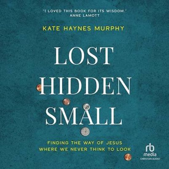 Picture of Lost, Hidden, Small