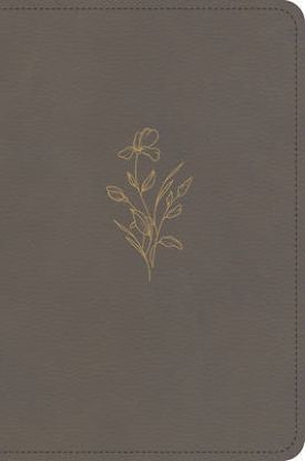 Picture of KJV Large Print Compact Reference Bible, Clay Leathertouch
