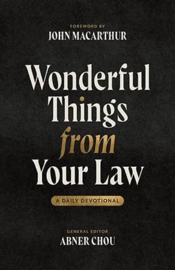 Picture of Wonderful Things from Your Law