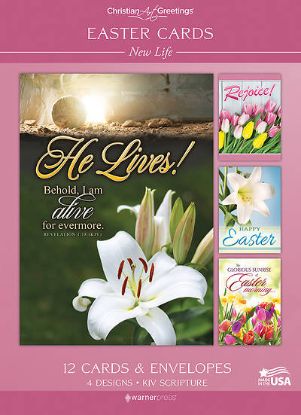 Picture of Easter New Life - Box of 12