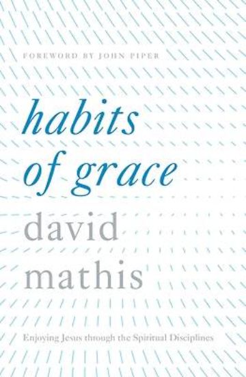 Picture of Habits of Grace - eBook [ePub]