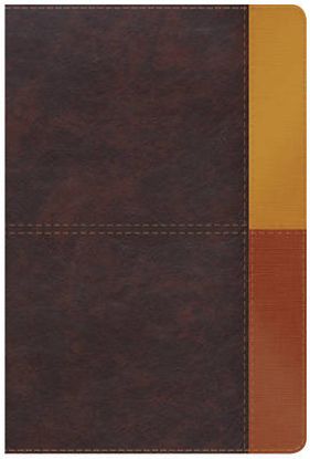 Picture of Rvr 1960 Biblia de Estudio Arcoiris, Gris Pizarra/Oliva Símil Piel Con Índice