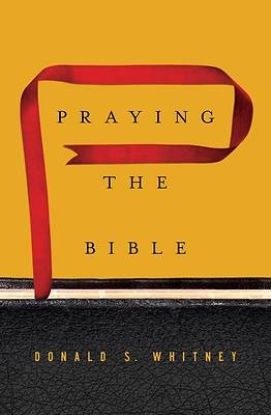 Picture of Praying the Bible