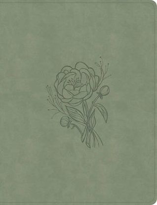 Picture of KJV Notetaking Bible, Large Print Edition, Sage Suedesoft Leathertouch