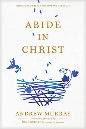 Picture of Abide in Christ
