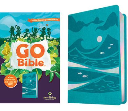 Picture of Go Bible