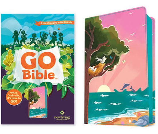 Picture of Go Bible