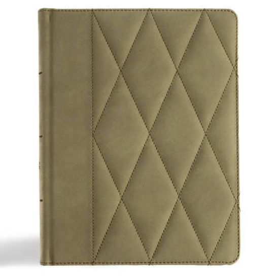 Picture of CSB Notetaking Bible, Large Print Edition, Sage Suedesoft Leathertouch