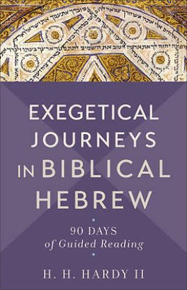 Picture of Exegetical Journeys in Biblical Hebrew