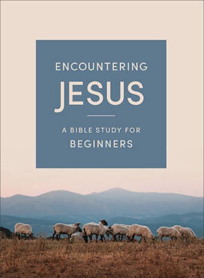 Picture of Encountering Jesus