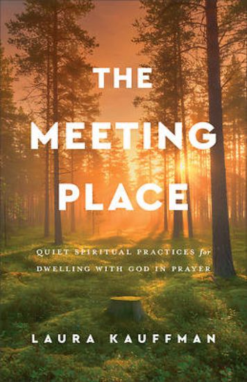 Picture of The Meeting Place