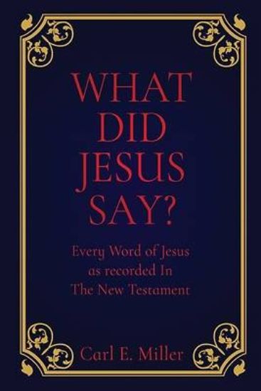 Picture of What Did Jesus Say?