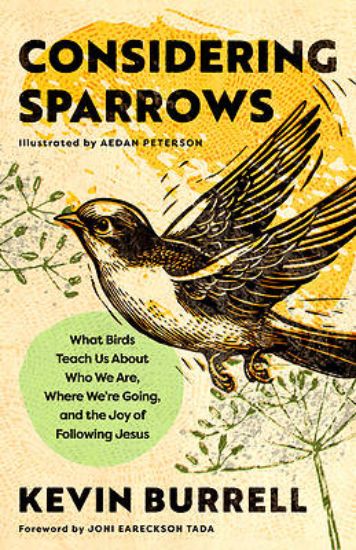 Picture of Considering Sparrows