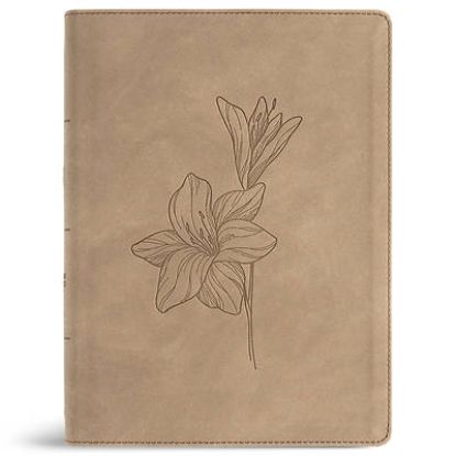 Picture of CSB Verse-By-Verse Reference Bible, Digital Study Edition, Earth Suedesoft Leathertouch