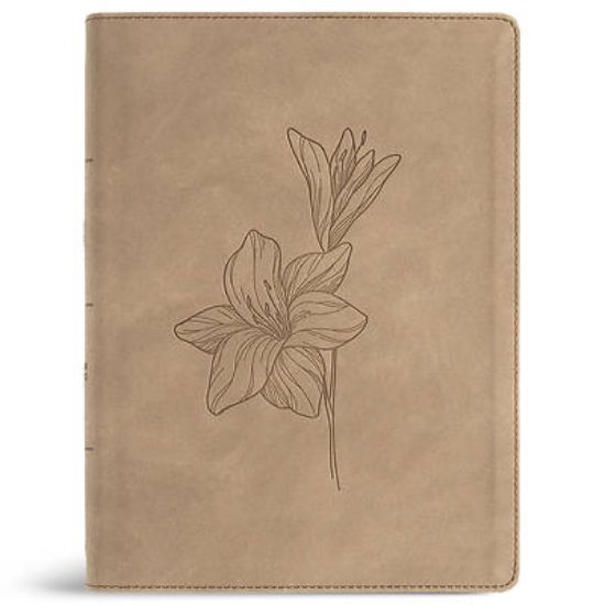 Picture of CSB Verse-By-Verse Reference Bible, Digital Study Edition, Earth Suedesoft Leathertouch