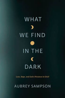 Picture of What We Find in the Dark