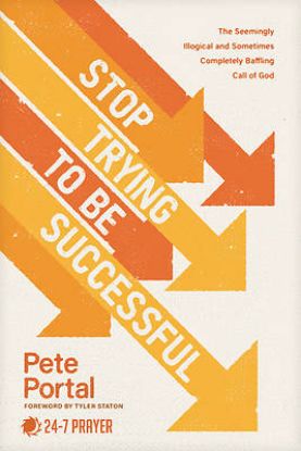 Picture of Stop Trying to Be Successful