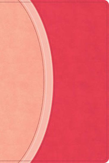 Picture of CSB Rainbow Study Bible, Pink Leathertouch (Limited Edition)