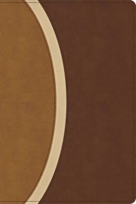 Picture of CSB Rainbow Study Bible, Brown Leathertouch (Limited Edition)