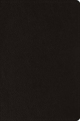 Picture of ESV Compact Bible (Buffalo Leather, Deep Brown)