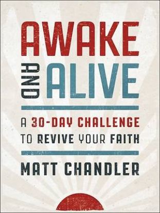 Picture of Awake and Alive