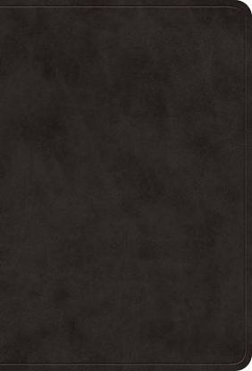 Picture of ESV Value Large Print Compact Bible (Trutone, Black)